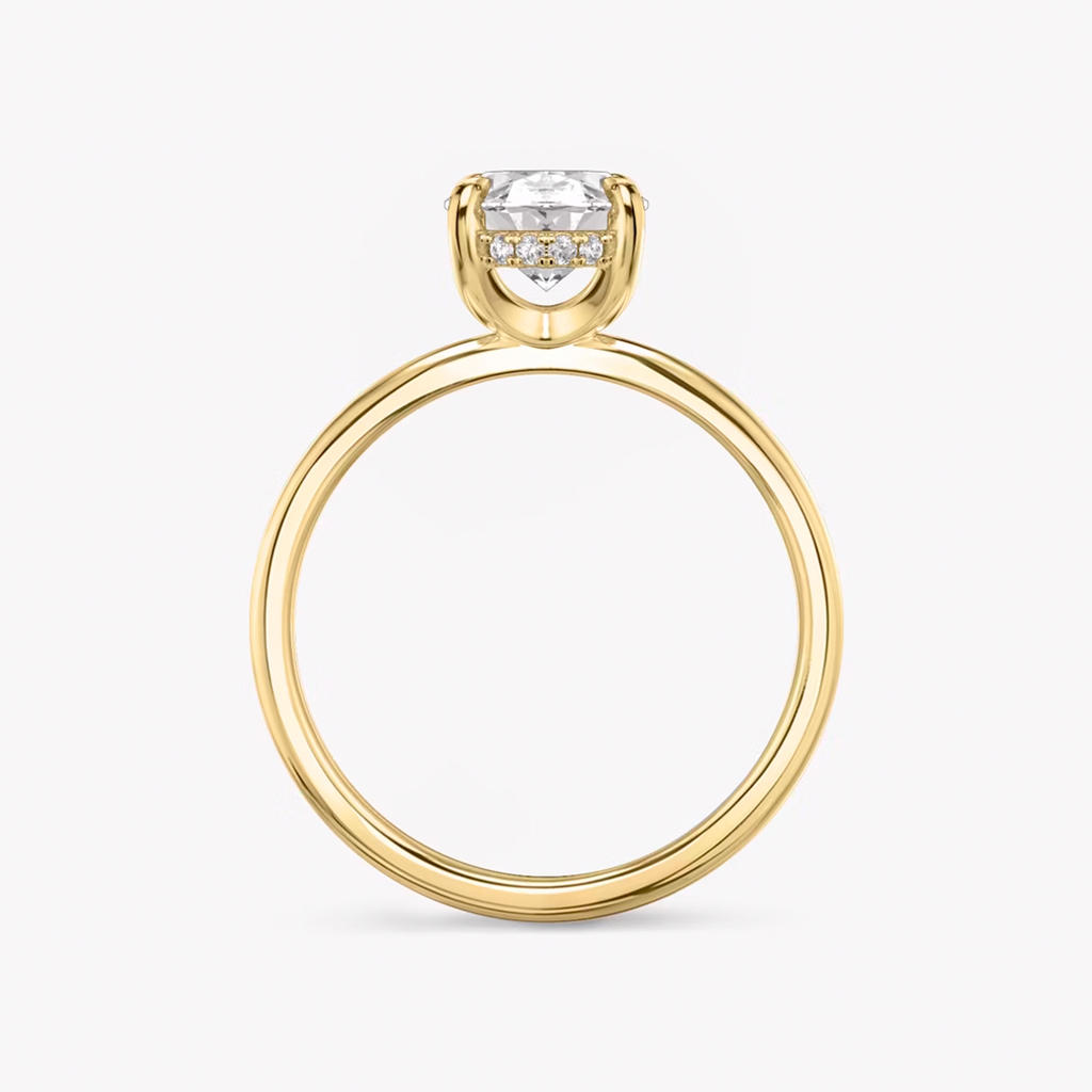 Hidden Halo engagement ring