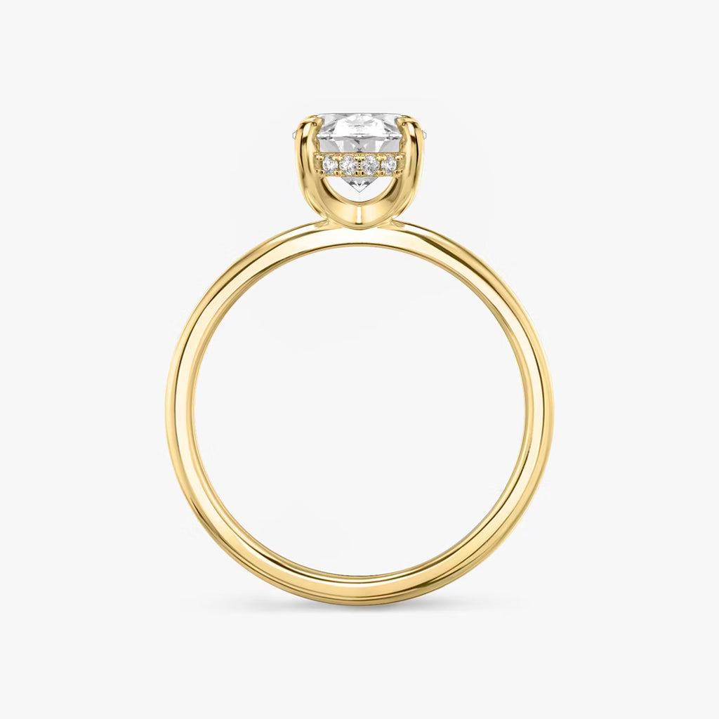 Hidden Halo engagement ring