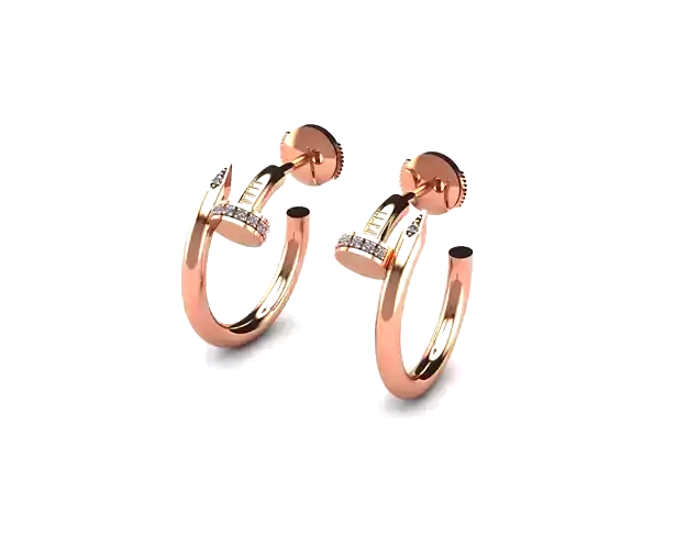 Nail Earrings (Best seller)